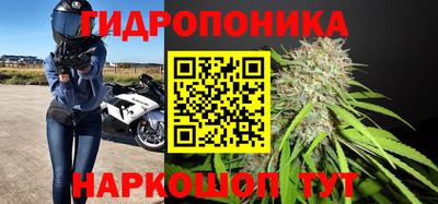 ПСИЛОЦИБИНОВЫЕ ГРИБЫ Татарск