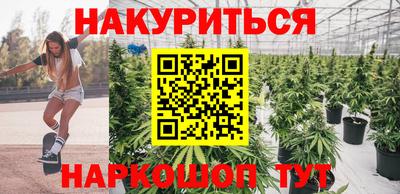 шишки Тулун