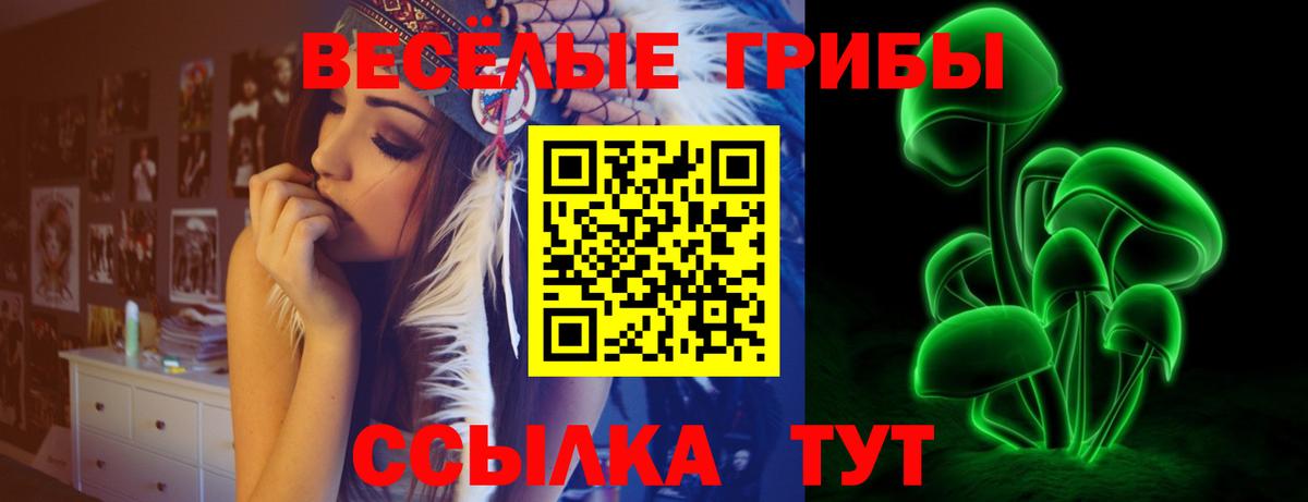 Псилоцибиновые грибы Cubensis Норильск
