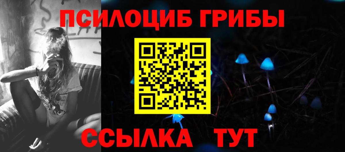 Норильск  Псилоцибиновые грибы мухоморы  Вход с VPN 